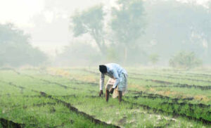 शेतकऱ्याच्या मनात दाटला चिंतांचा पाऊस !