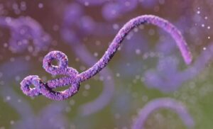 काँगोमध्ये कोरोनाच्या जोडीला इबोला !